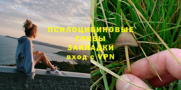 шишки Краснослободск