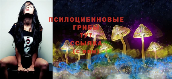 синтетический гашиш Алапаевск